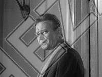 Владимир Емельянов