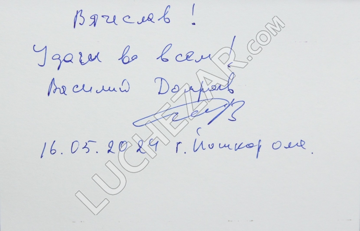 Василий Домрачев