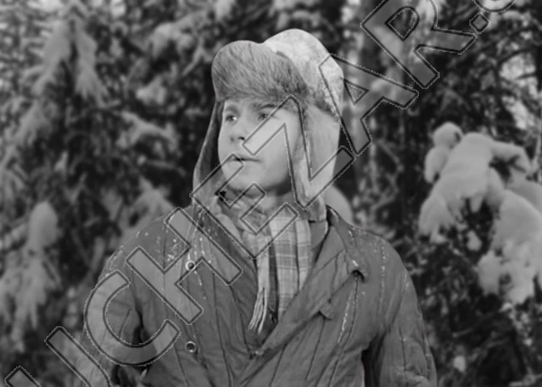 Алексей Крыченков