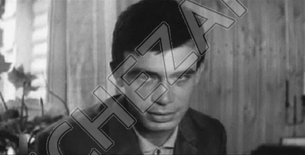 Андрей Вертоградов