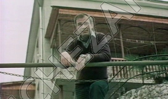 Андрей Вертоградов