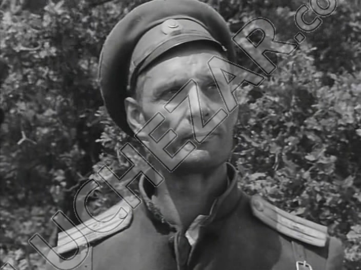 Виктор Шульгин