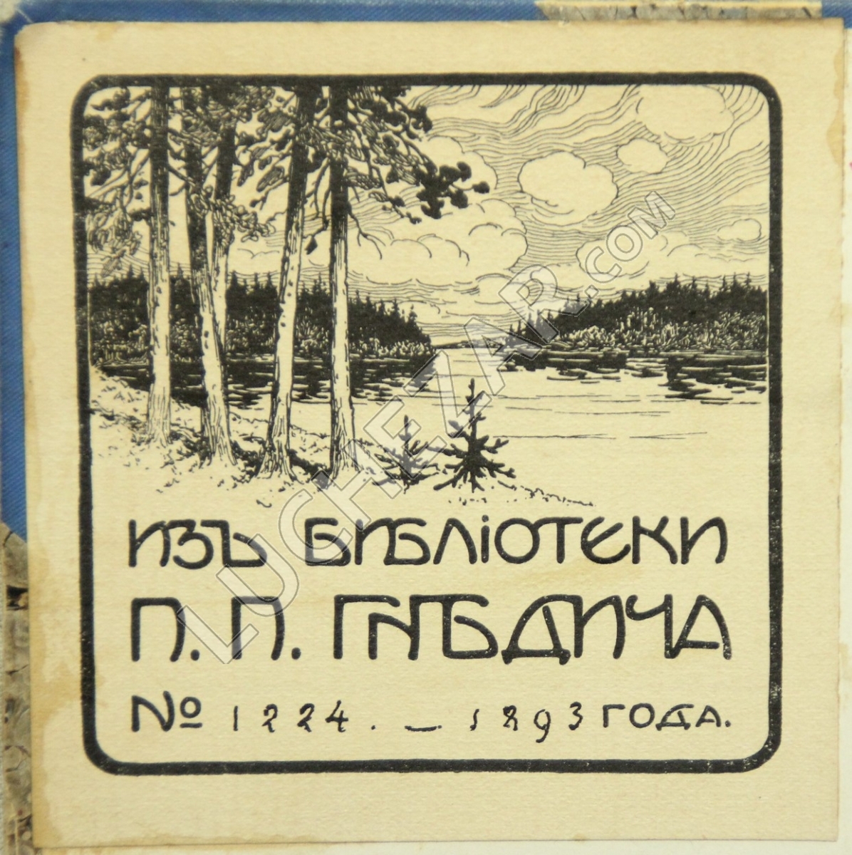 Пётр Гнедич