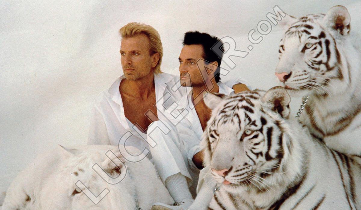 Зигфрид и Рой (Siegfried & Roy)