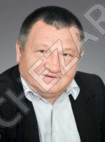 Василий Домрачев