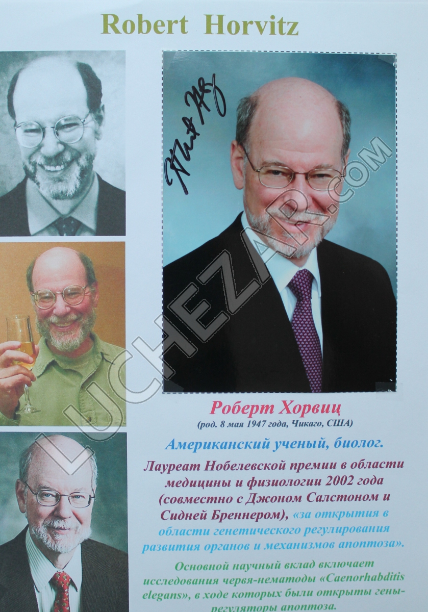 Роберт Хорвиц (Robert Horvitz)
