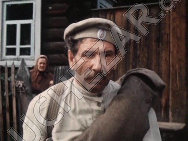Николай Михеев