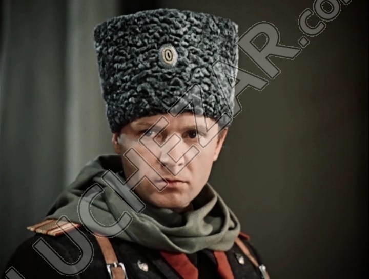 Андрей Мягков