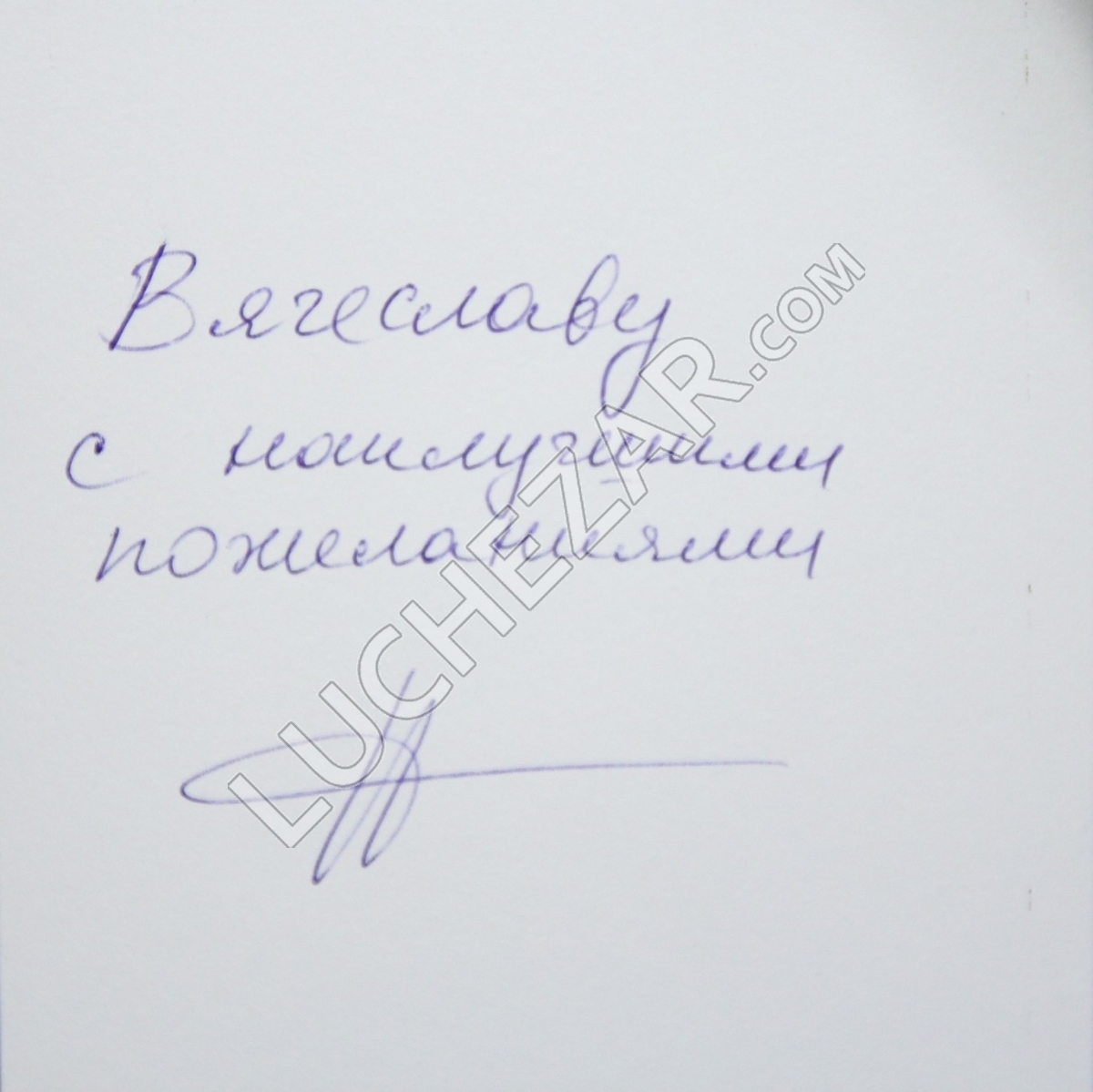 Наталья Курдюбова