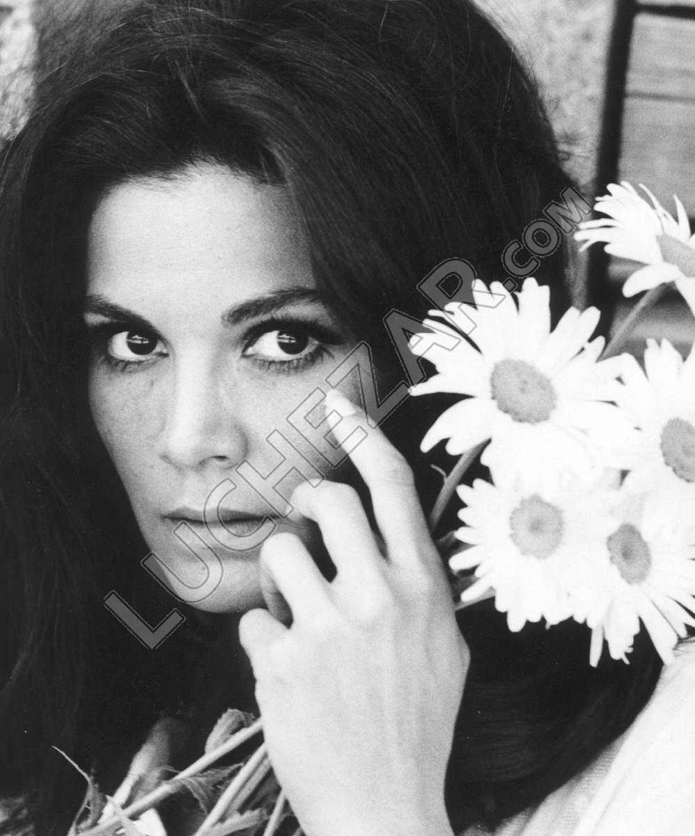 Флоринда Болкан (Florinda Bolkan)