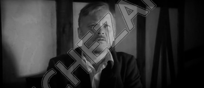 Николай Засухин