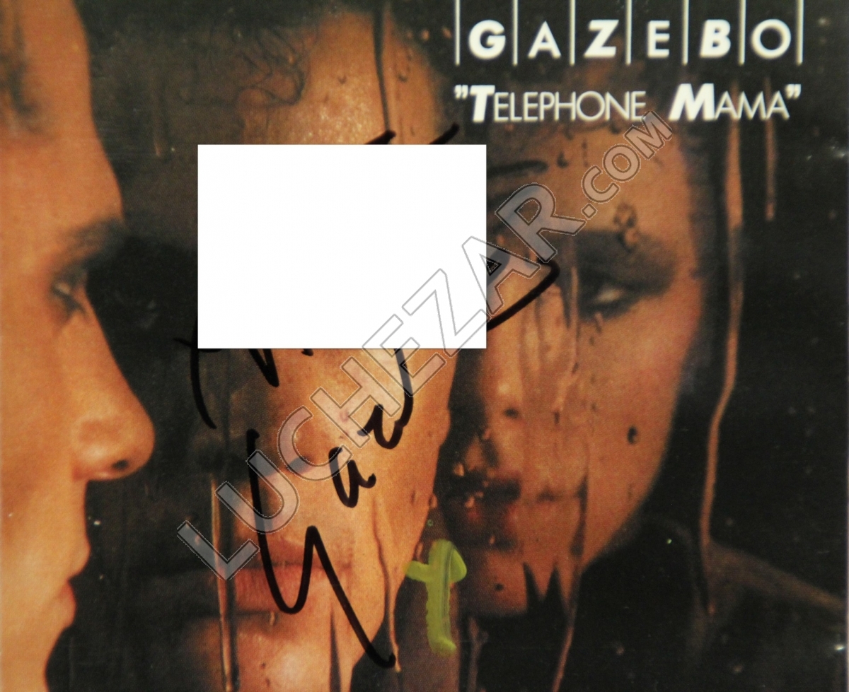 Гадзебо (Gazebo)