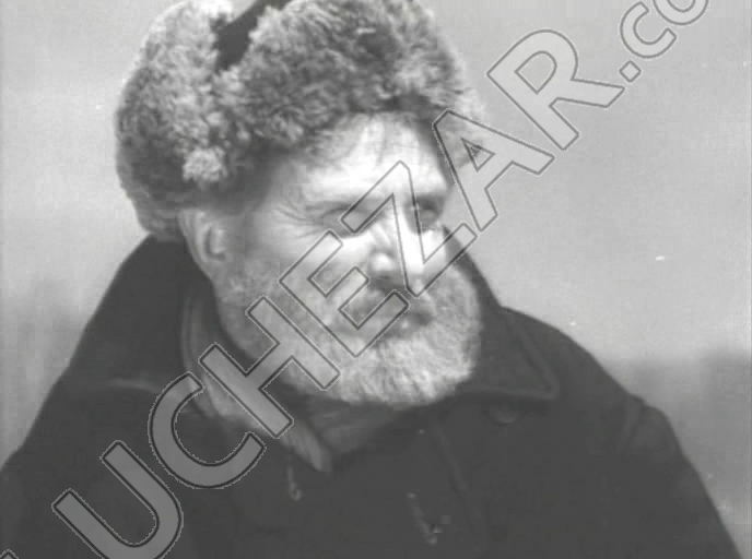 Иосиф Толчанов