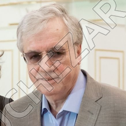 Виктор Плешак