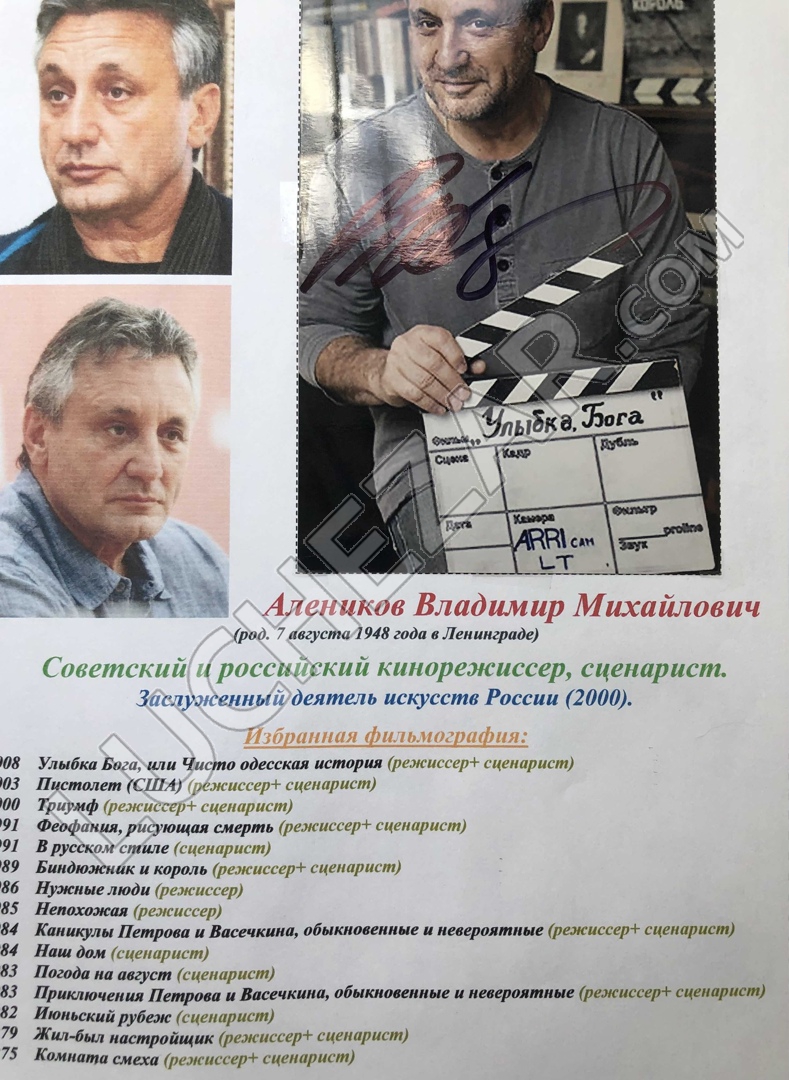 Владимир Алеников