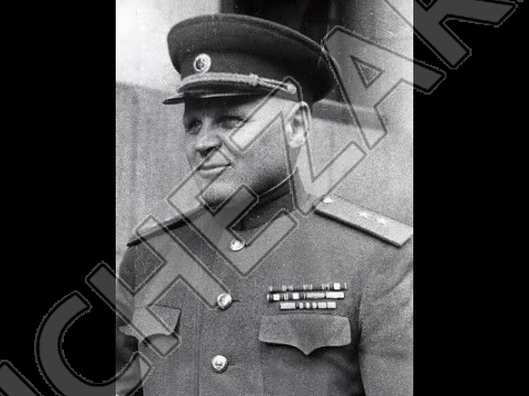 Константин Телегин