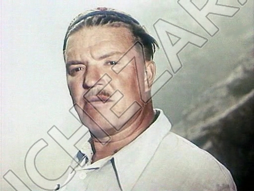 Владимир Белокуров